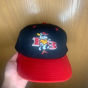 Size 7 3/8 fitted hat